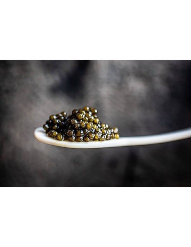 Caviar Bolshoi Iranian Baerii 100g