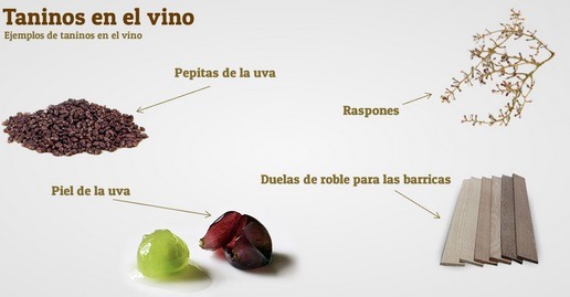 Taninos: esos villanos incomprendidos del vino (que en realidad son héroes)