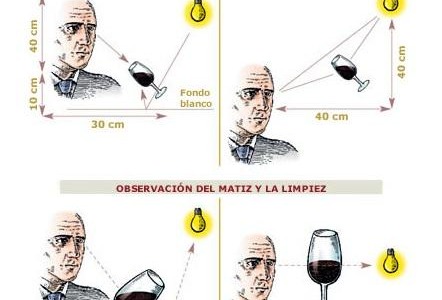 La técnica en vista: el primer juicio del vino