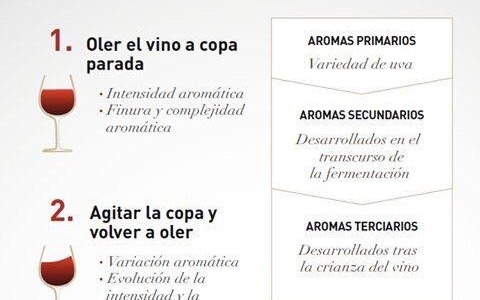 La técnica en nariz: donde el vino empieza a contar su historia