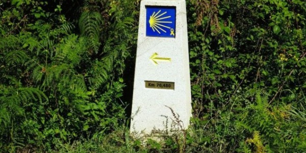 El vino en el Camino de Santiago: beber historia, paso a paso