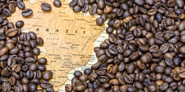 El Café de Brasil: tradición, sabor y alma en cada taza