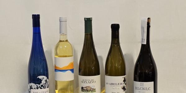 Los vinos de Rías Baixas subzona Salnés